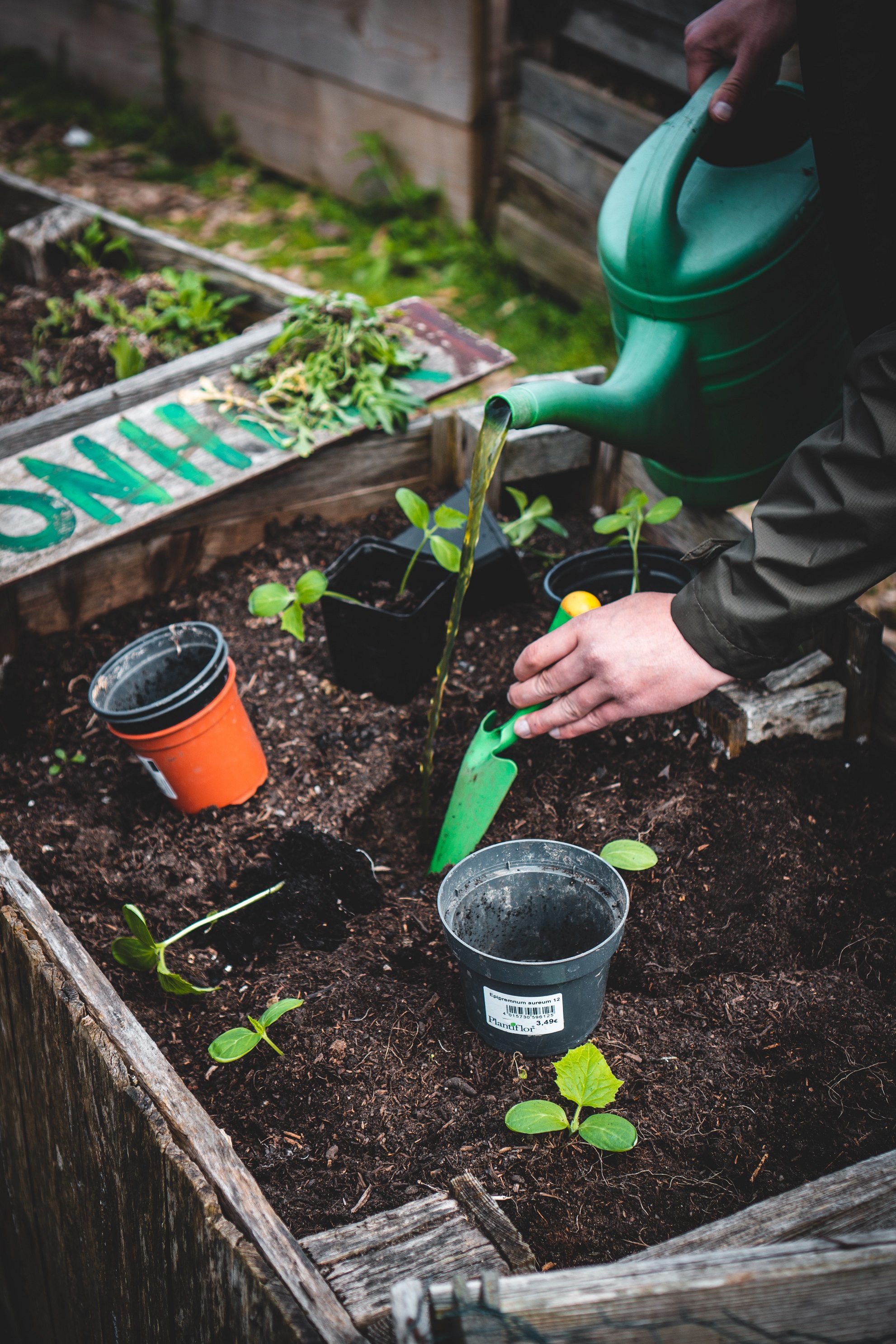 Gardening Goals-BINGO!!!