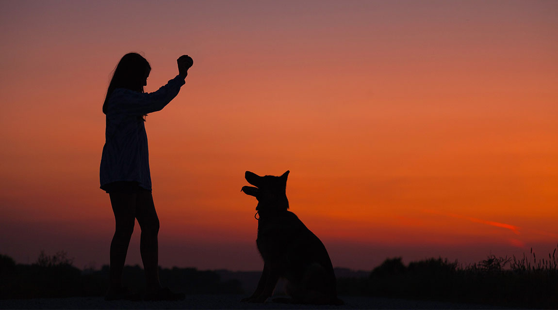 Dogs are a part of Family