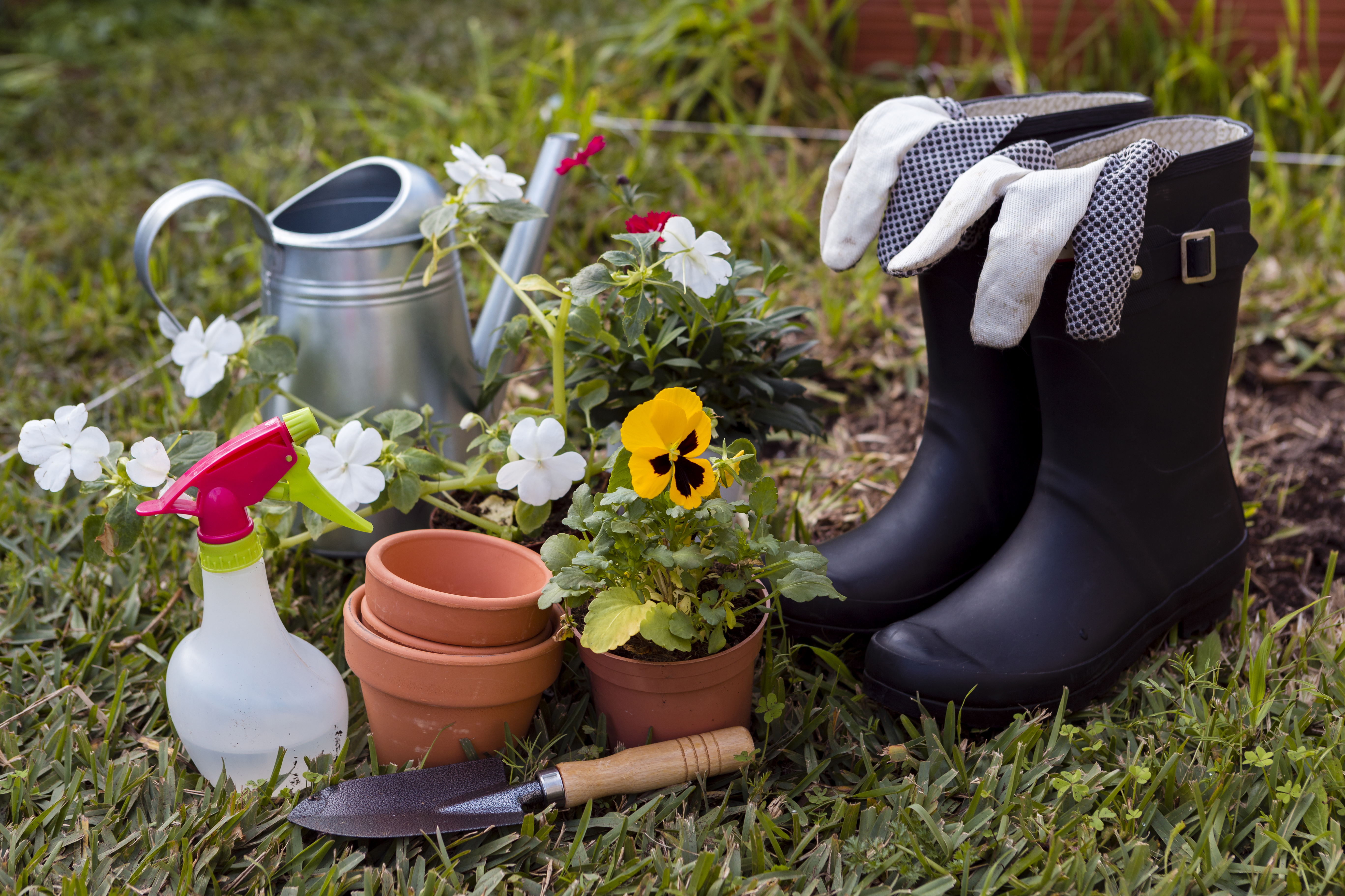 Monsoon Gardening