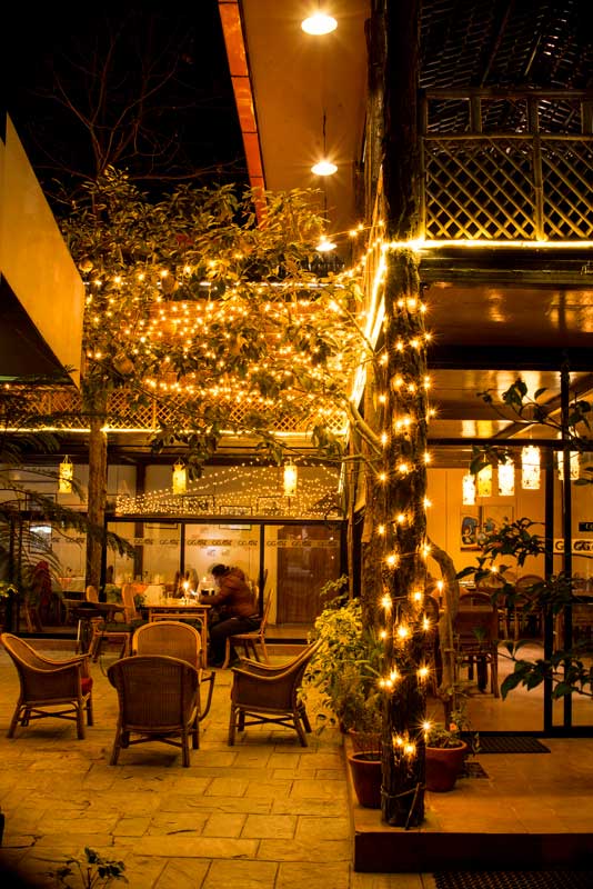 Cozy Family Restaurants