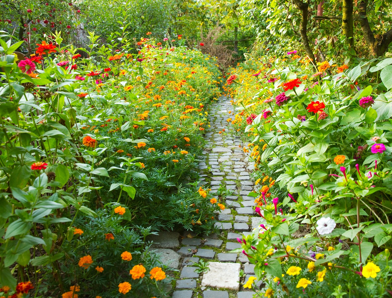 Garden Goals