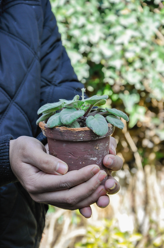 Every New Gardener’s Query