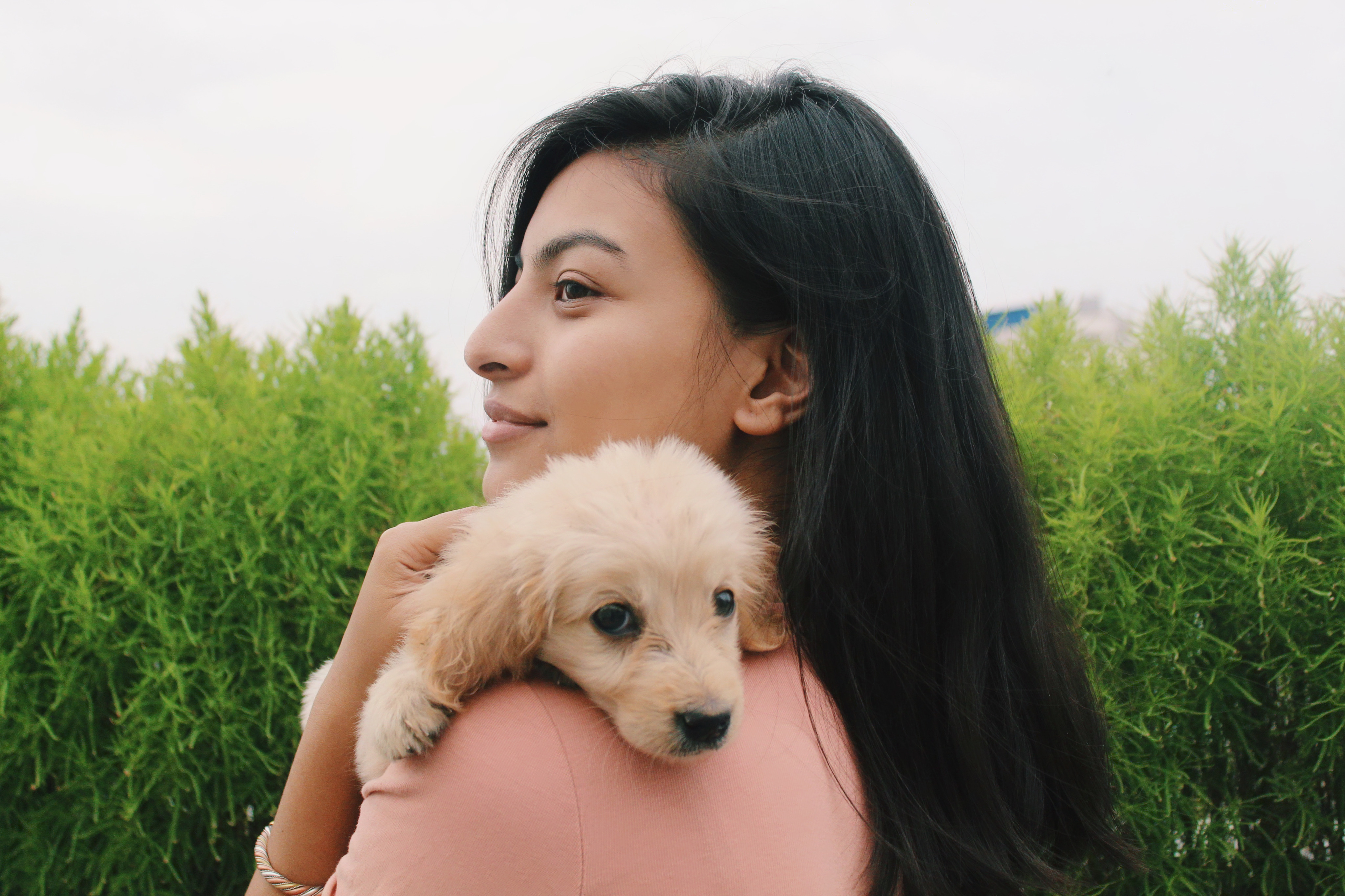 Puppy Power: Mental Health Benefits of Having a Dog