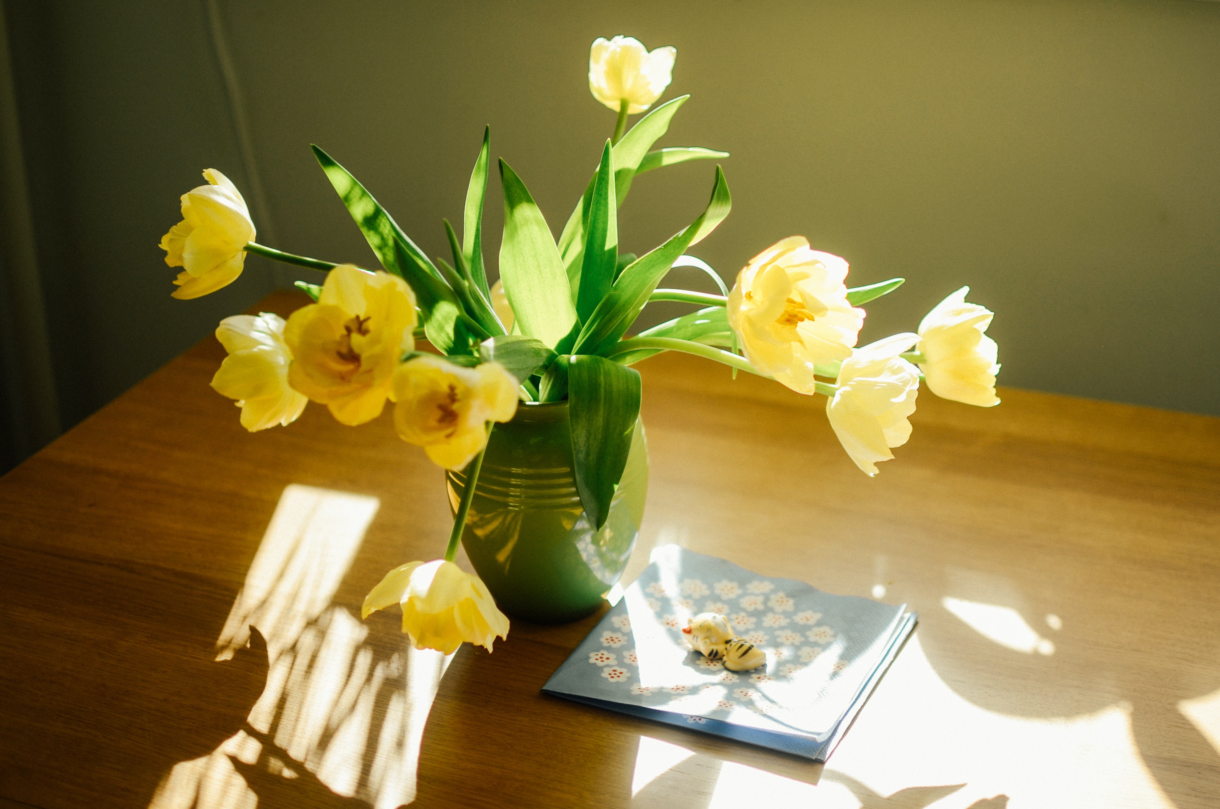 Let the SunShine In