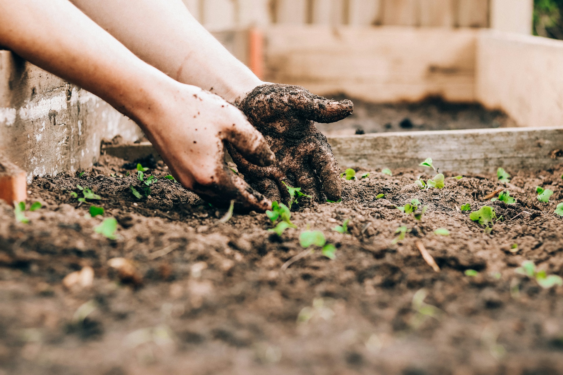 Safeguarding your garden