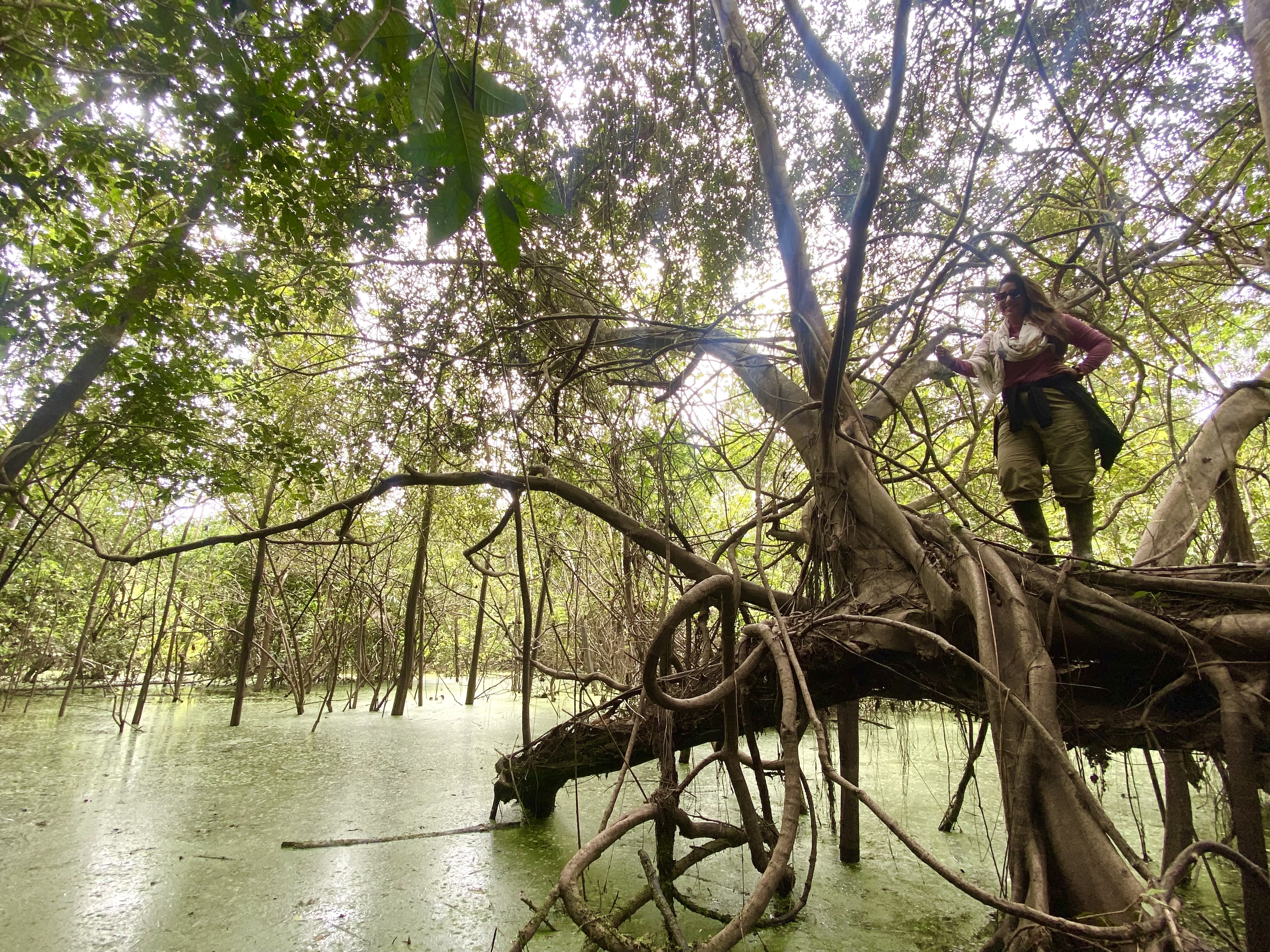 Wild Wild Amazonia