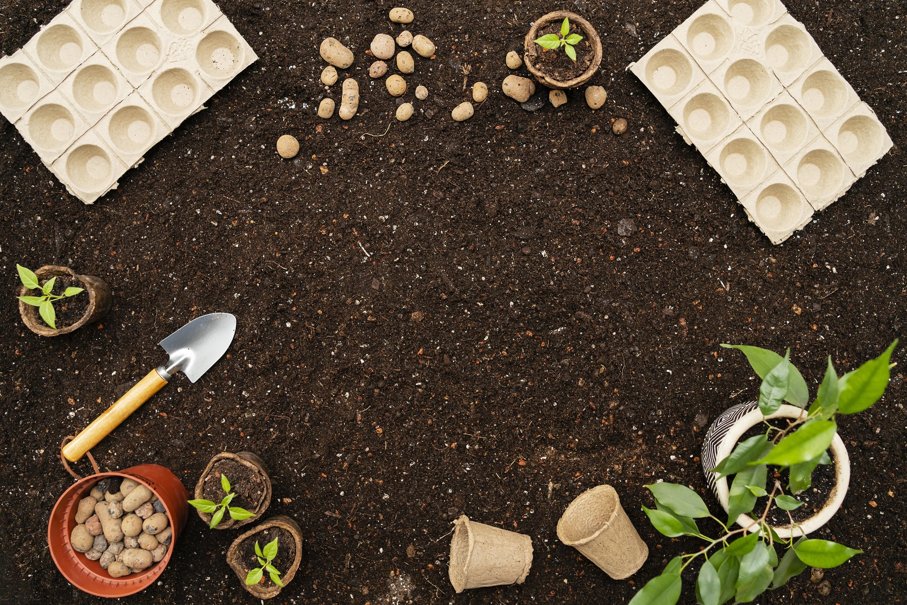 Spring Cleaning Your Garden