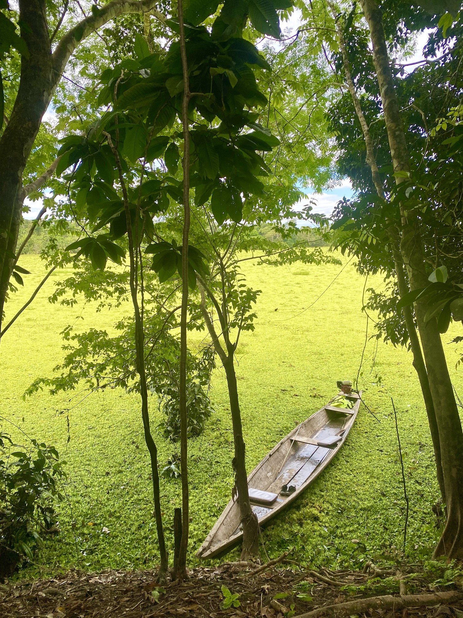 The Ultimate South American Trip