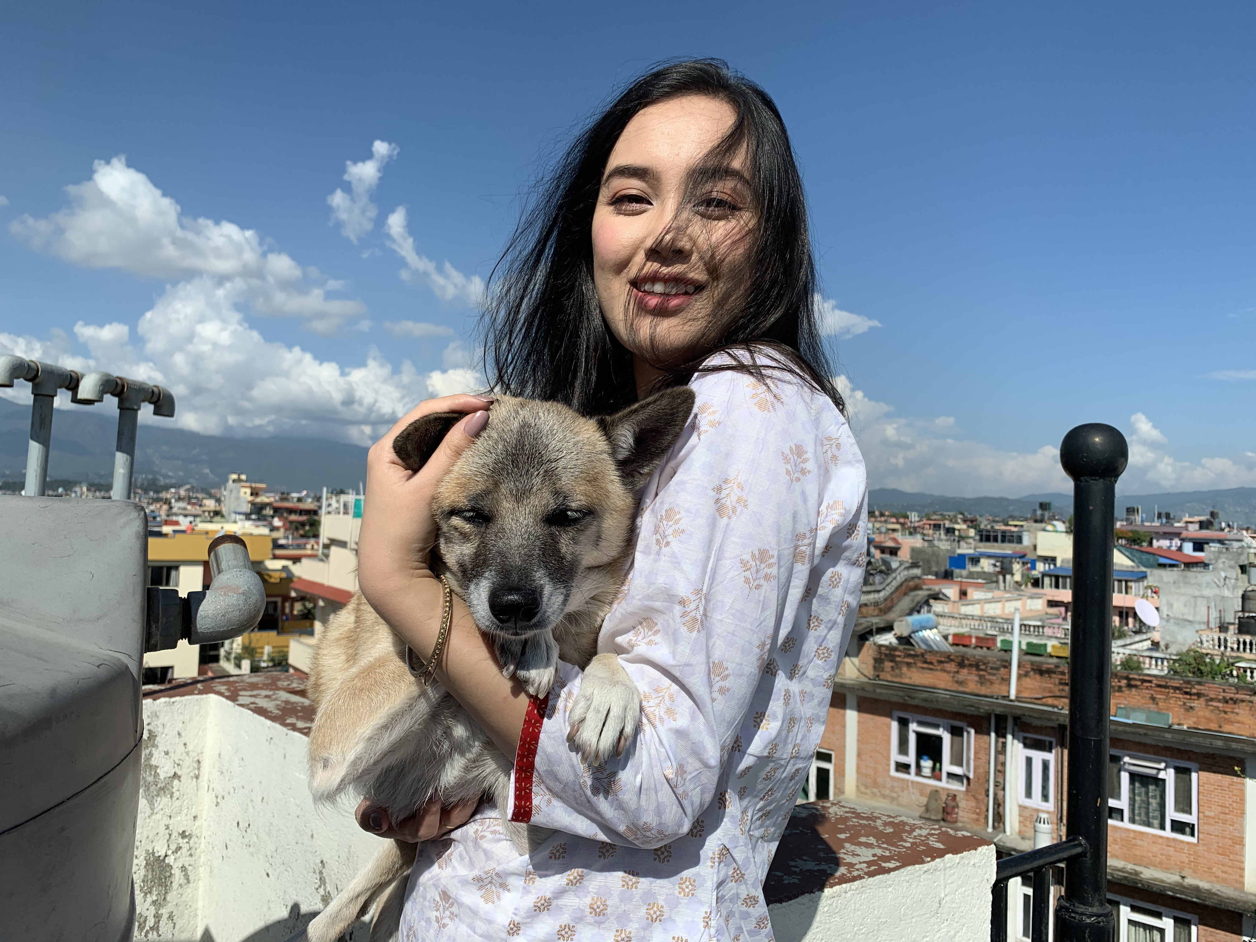 An Avid Dog Lover