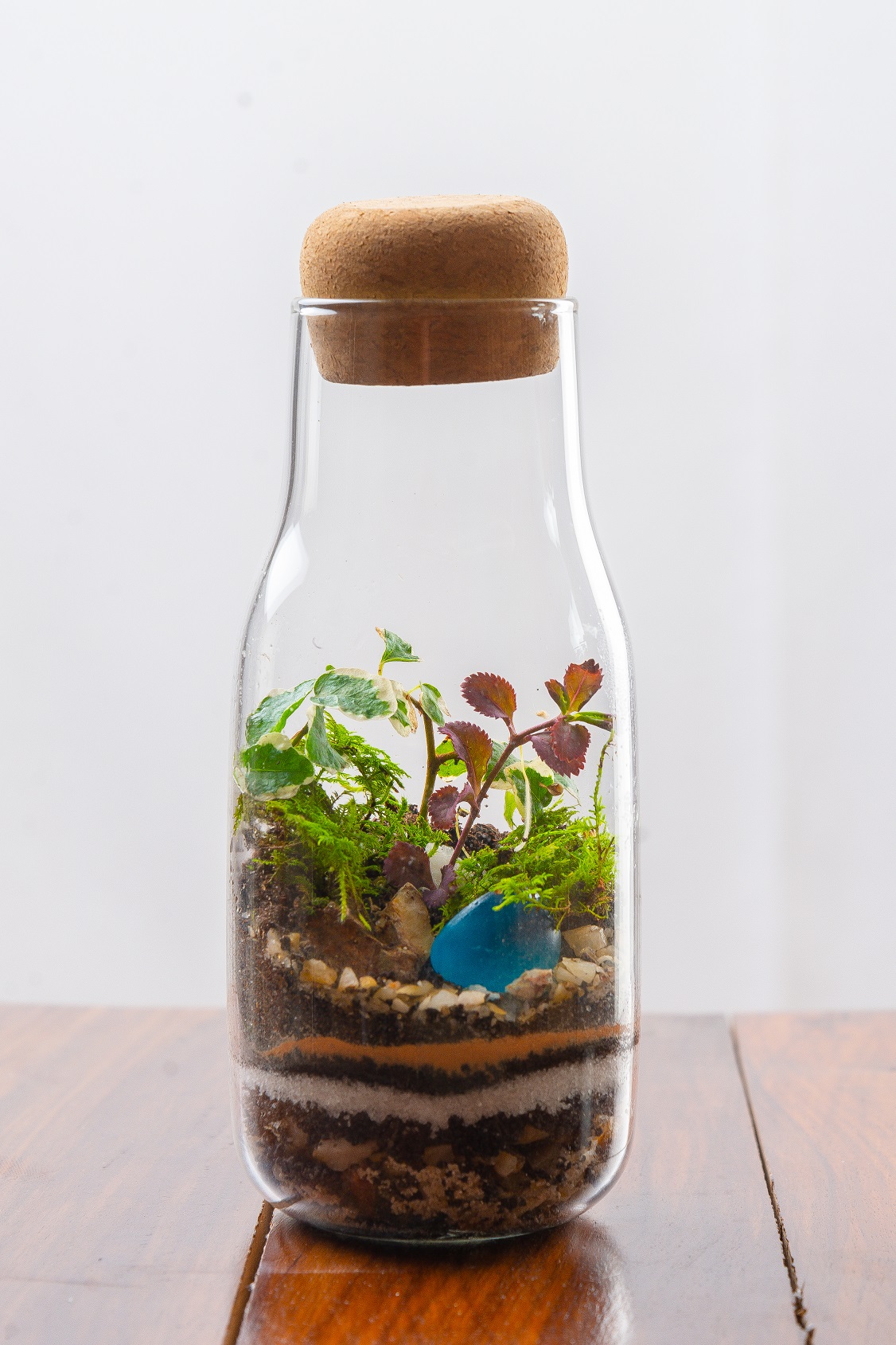 Plant in a Bottle