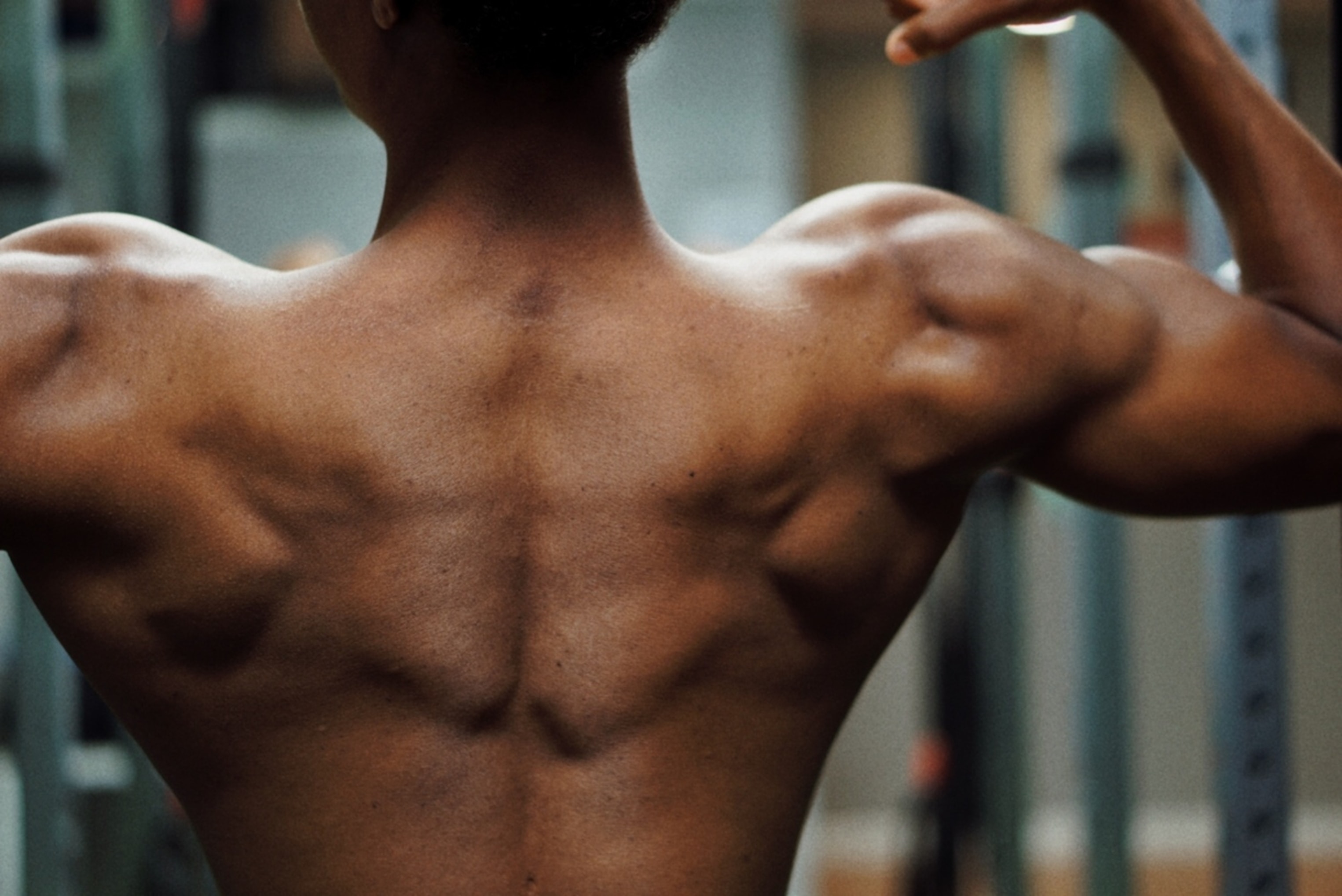 THE SCIENCE BEHIND MUSCLES GROWTH