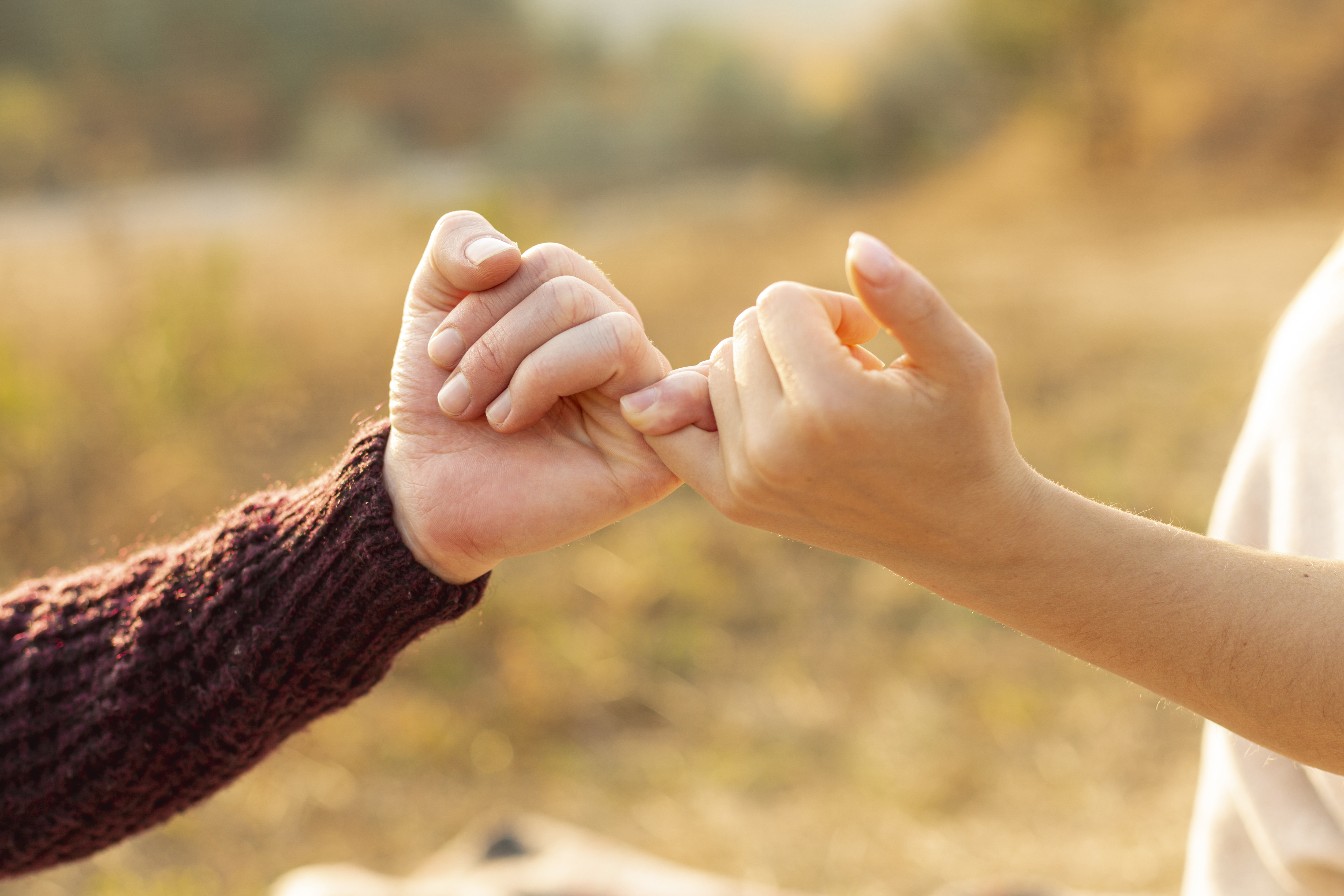 Platonic Connections: Where Heart Meets Mind