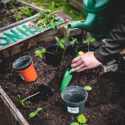 Gardening Goals-BINGO!!!