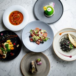 Beyond the Menu Aloft's Cozy Culinary Nooks