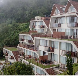 A Respite into the Hills