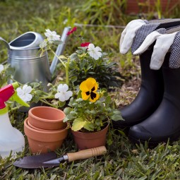 Monsoon Gardening