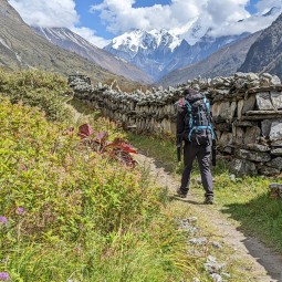 Nature-Inspired Fitness: A Journey Back to Our Roots