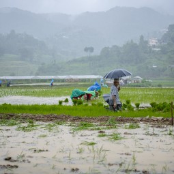 Drizzle Drizzle : Monsoon Is Here