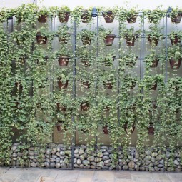 Vertical Gardening