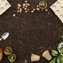 Spring Cleaning Your Garden