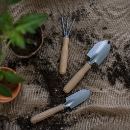 Garden Therapy- Healing Through Plants